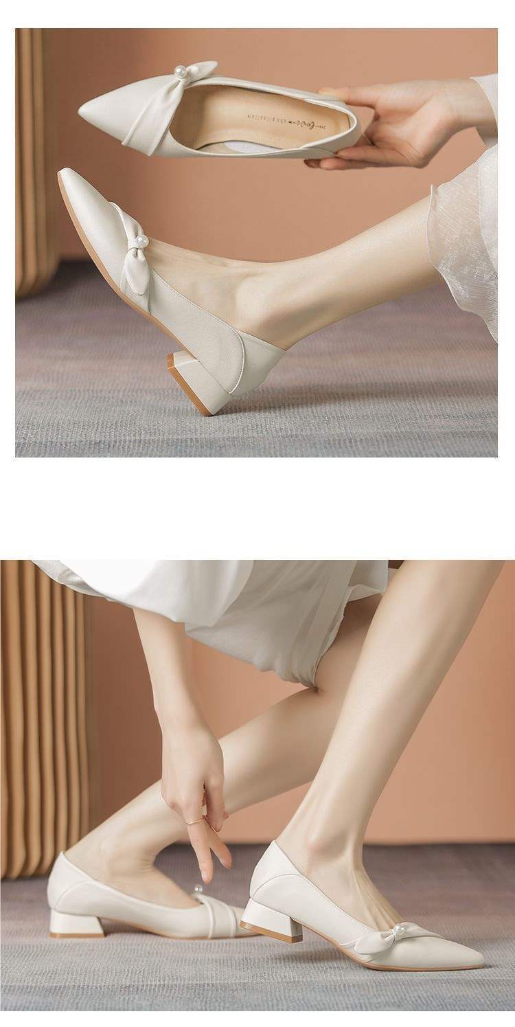 Women's French Style Professional Work Leather Shoes2025Spring and summer new style commuting temperament pointed toe chunky heel women's shoes