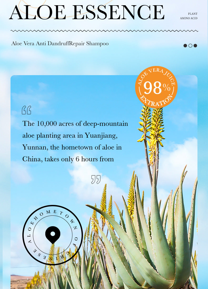 Aloe Vera Shampoo500ml SADOER Hydrating, cleansing, refreshing conditioner  foreign trade wholesale