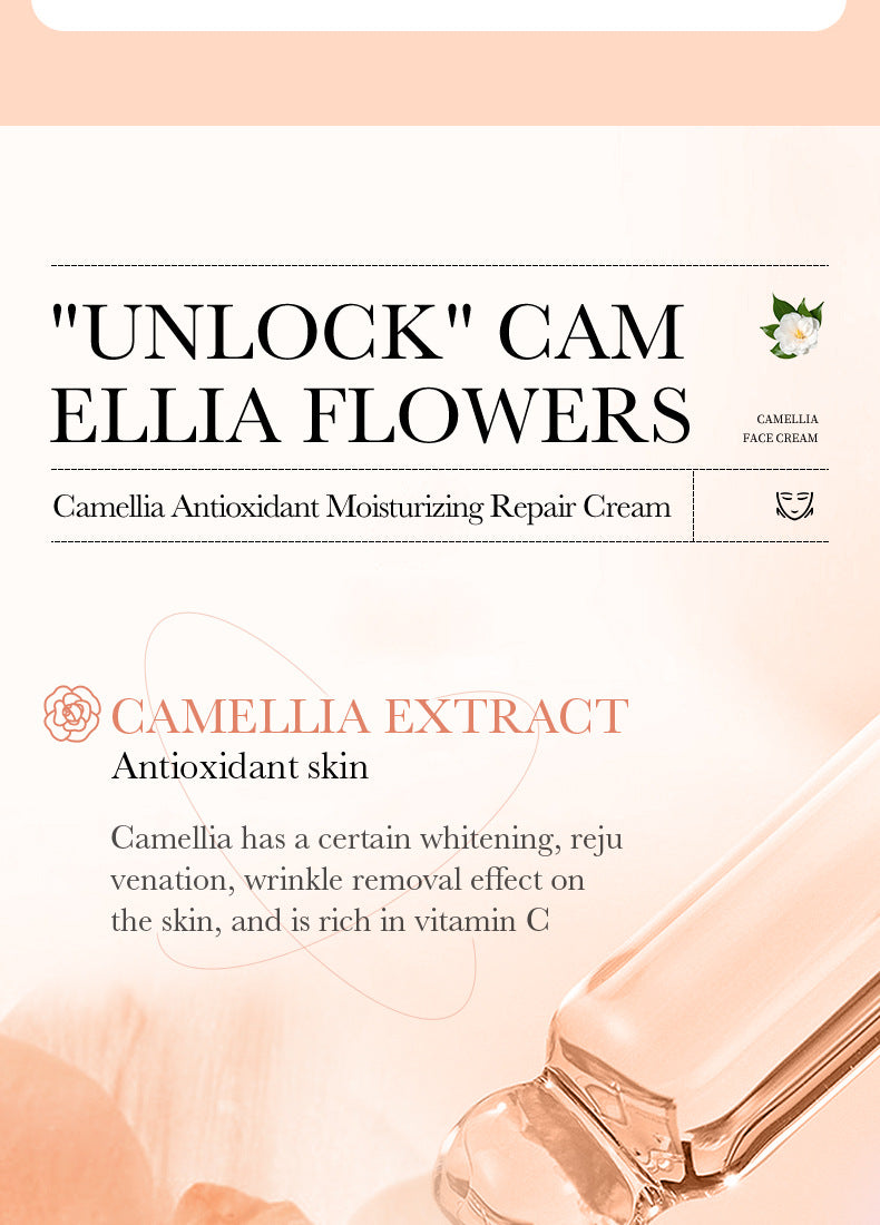 Camellia Face Cream BIOAOUA Hydrating, moisturizing, refreshing, non-sticky moisturizing cream cross-border foreign trade wholesale