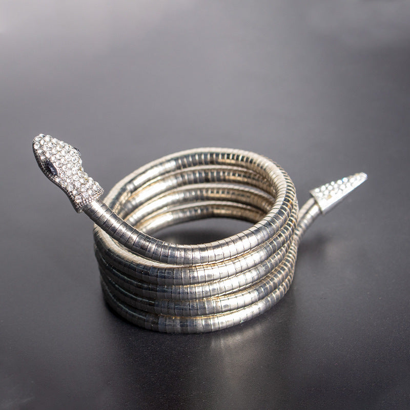 Men's New Necklace Women's Versatile High-end European and American Style Jewelry ins Minimalist Snake Bone Chain Snake Necklace