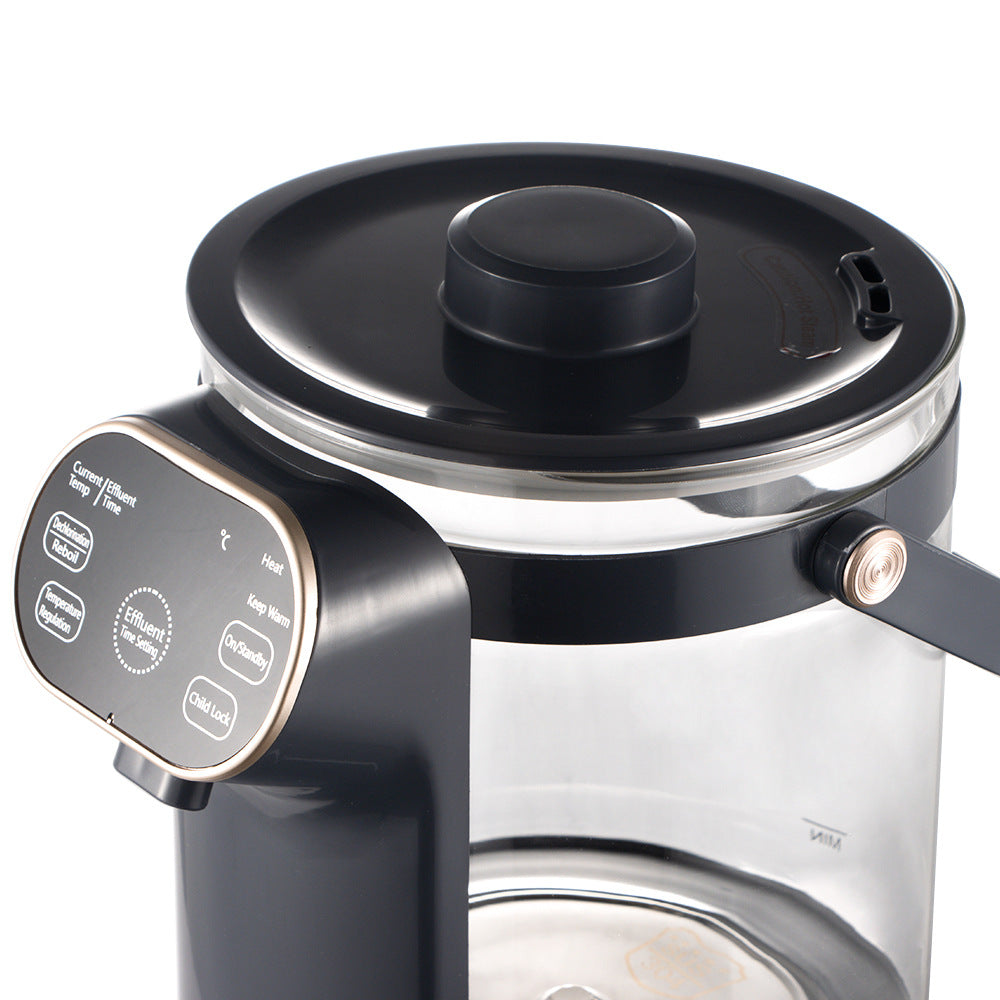 RAF European Standard Transparent Glass2.5L Electric Kettle Automatic Large Capacity Multi-Functional Kettle Overheat Protection