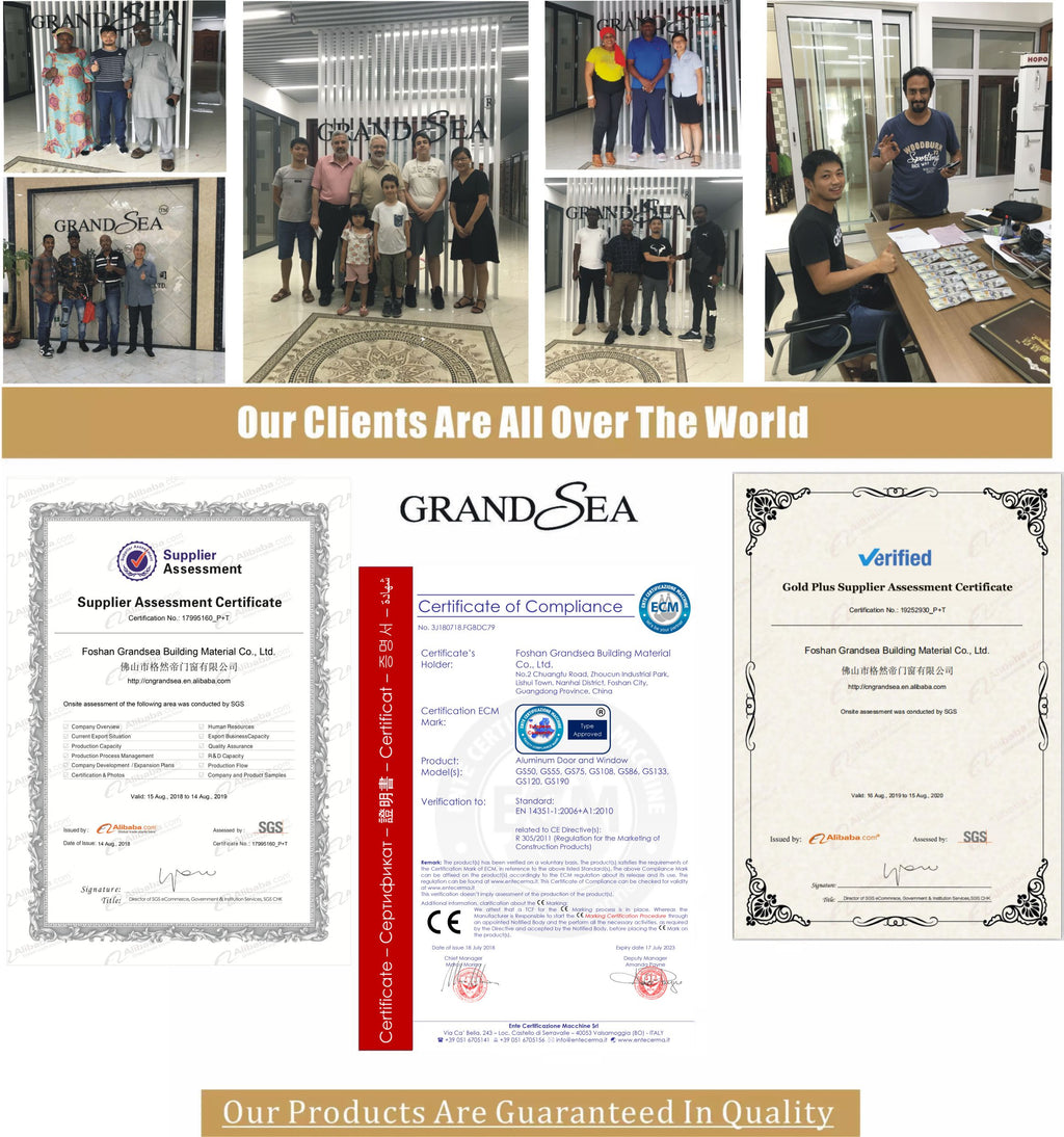 Modern Black Aluminum Frame Pivot Shower Door Plastic Shower Doors