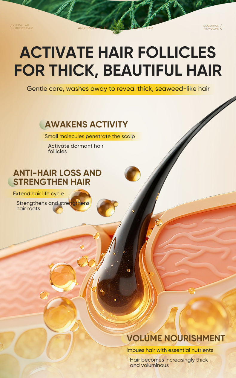 Universal Moisturizing Anti-Hair Loss Shampoo Oil Control Volumizing Anti-Dandruff Hair Strengthening Shampoo for Men and Women