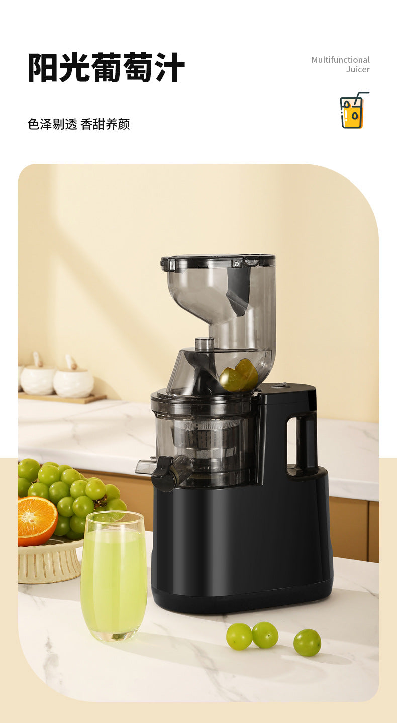 Juicer Household Pulp and Juice Separator Multifunctional Commercial Large Caliber Fruit and Vegetable Juicer