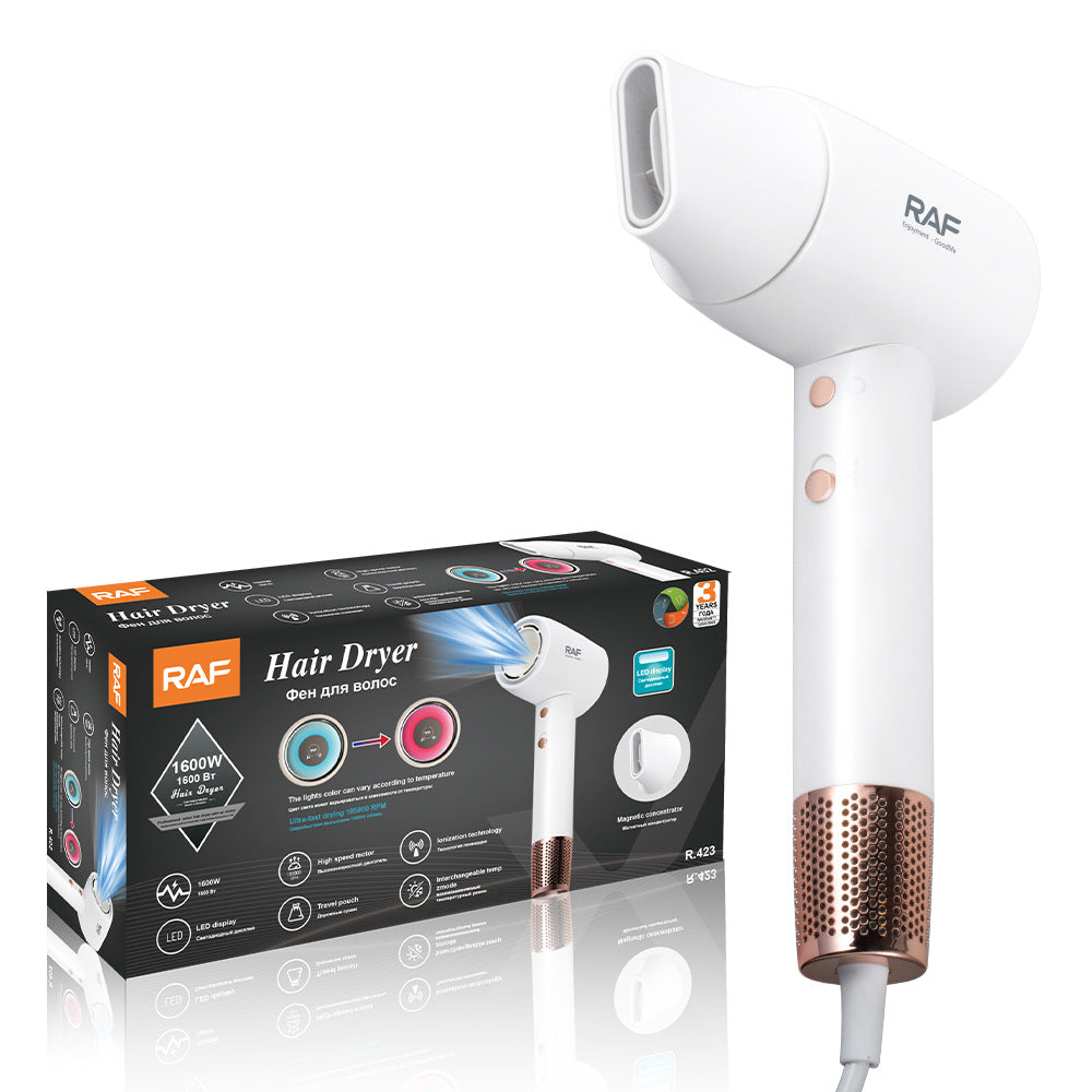 RAF European standard intelligent temperature control high-power high-speed hair dryer for home use Quick-Dry Hair Care Negative Ion R423