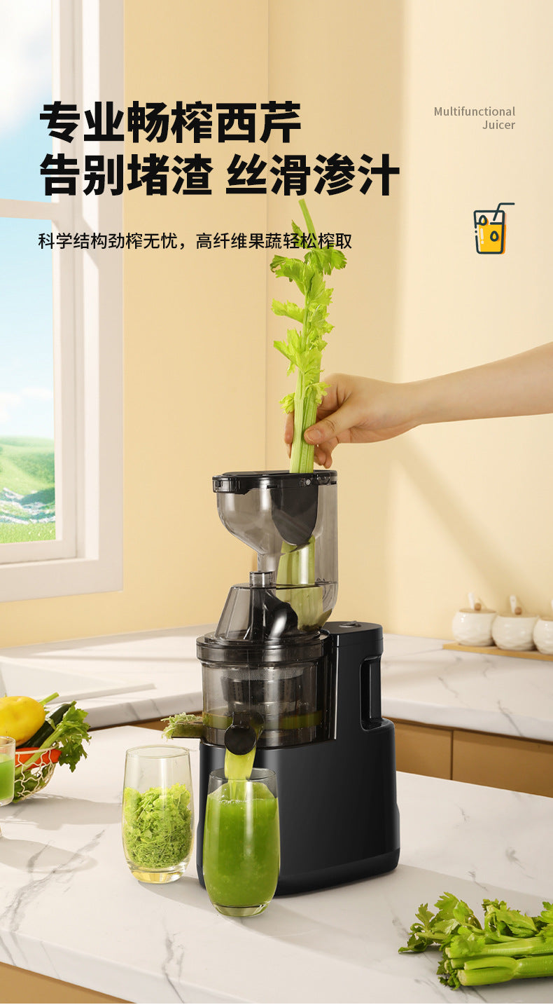 Juicer Household Pulp and Juice Separator Multifunctional Commercial Large Caliber Fruit and Vegetable Juicer