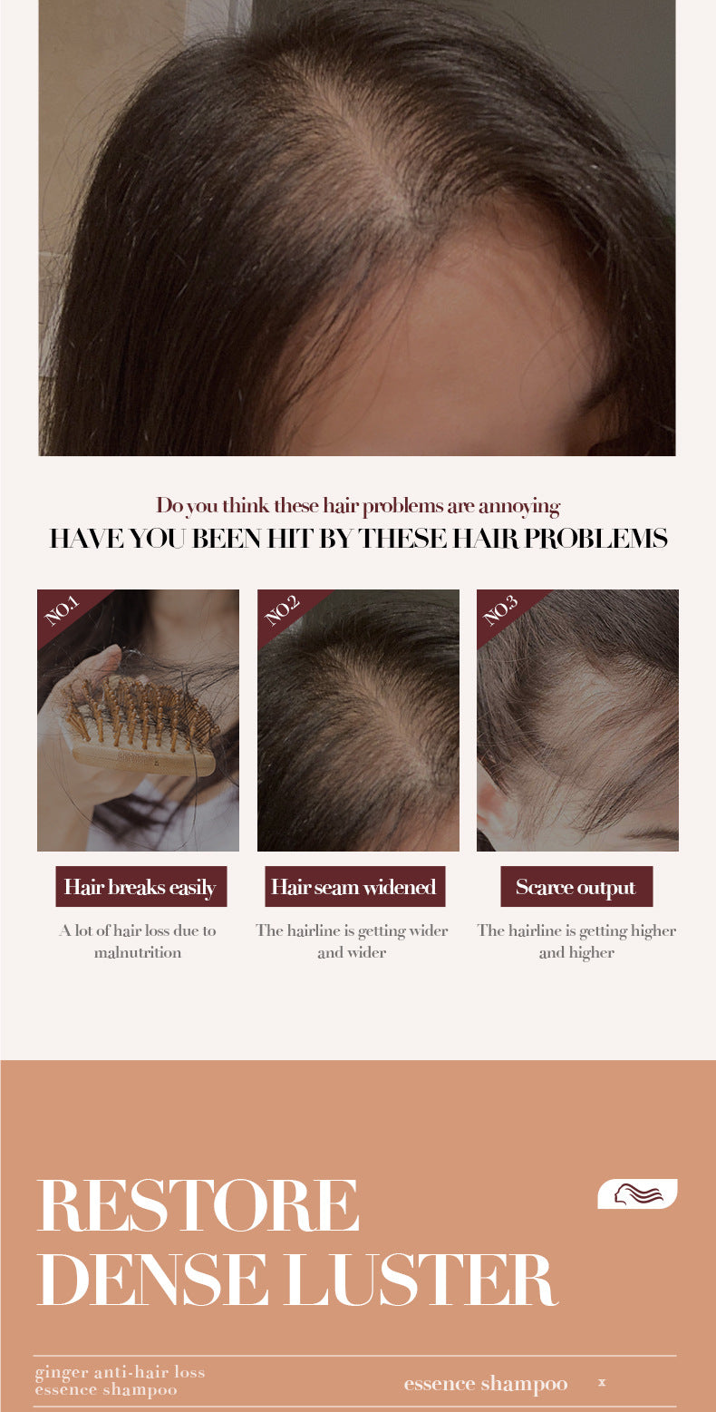 Full English Ginger Anti-Hair Loss Shampoo500ml SADOER Plant Shampoo  Wholesale