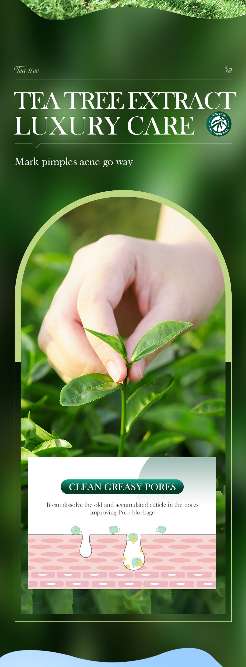 Full English Tea Tree Skincare Set SADOER Cleansing, moisturizing, hydrating five-piece set for  foreign trade wholesale