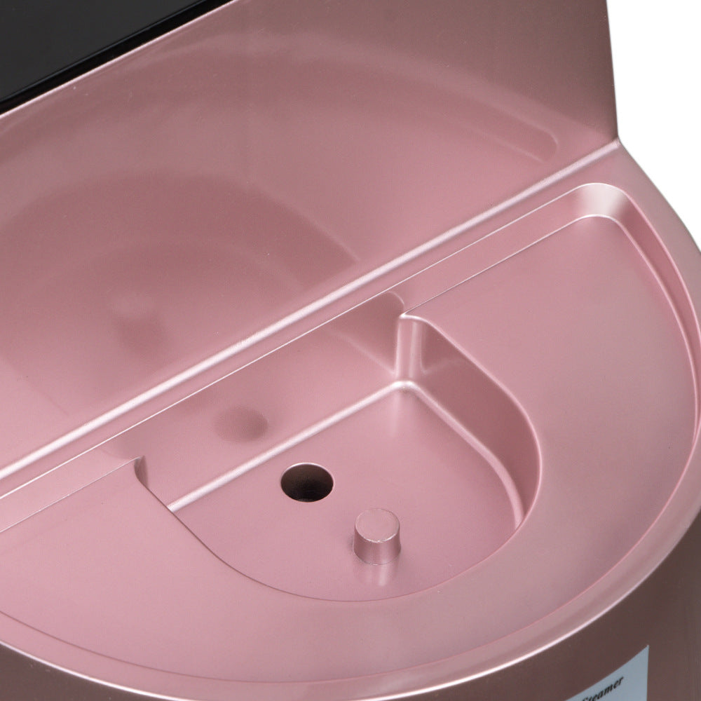 RAF European Standard Steam Home Use Garment Steamer Vertical Handheld Mini Hanging Iron R.3046