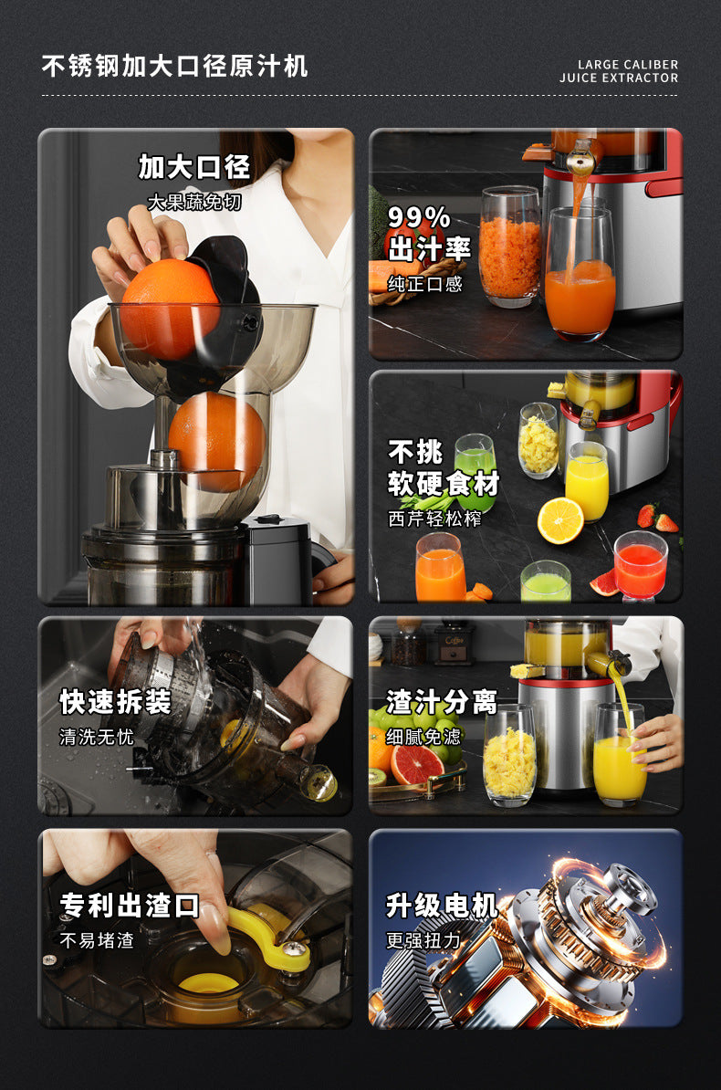 Dropshipping Juicer with Pulp Separator, Small Household Juice Maker, Stainless Steel Multifunctional Fruit Extractor