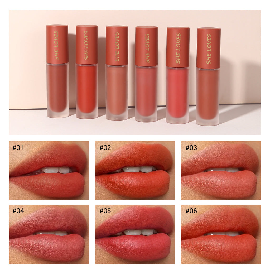 SHELOVES Light Mist Matte Lip Gloss10Color Non-Stick Cup Matte Lip Mud Liquid Lipstick