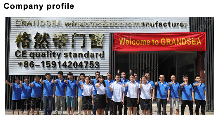 Customized Home Front Exterior Main Entry Steel Security Doors for House