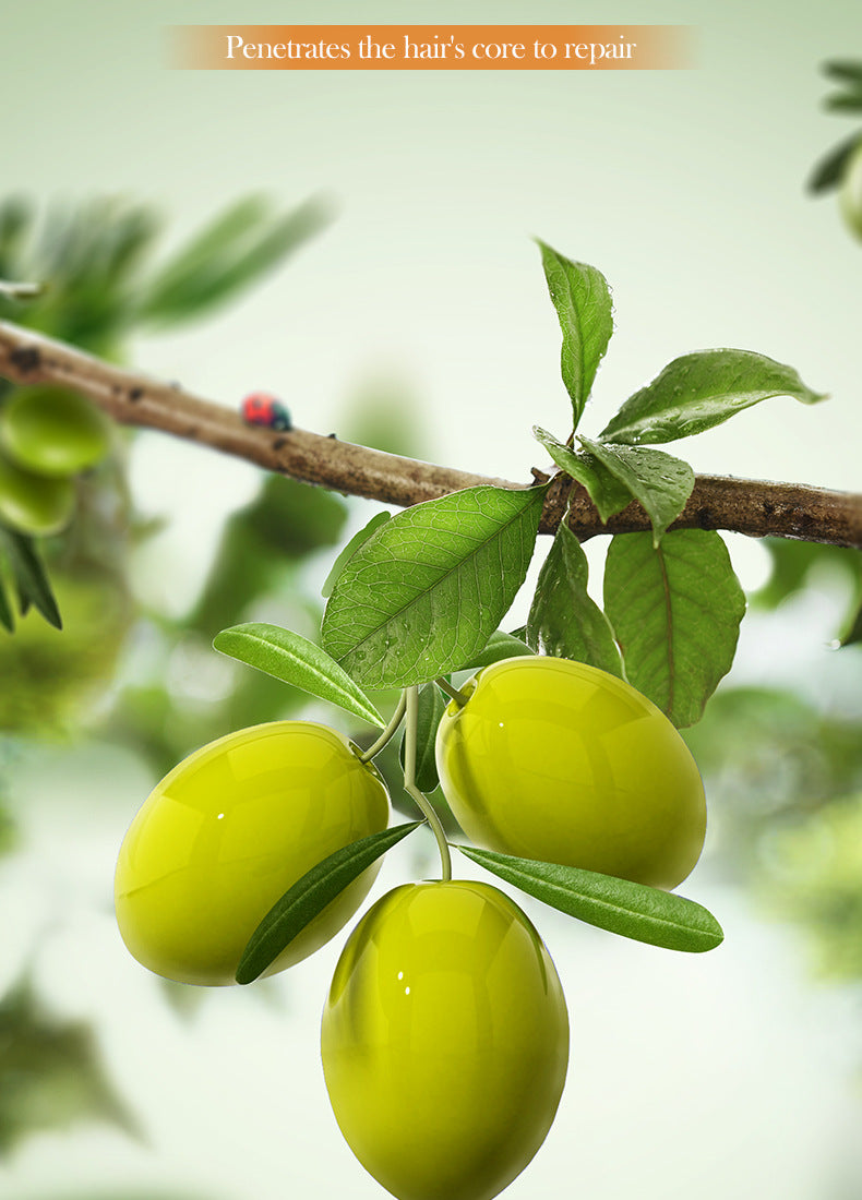 Olive Oil Hair Mask SADOER Repair Smooth Nourishing Hair Conditioner Cross-Border Wholesale