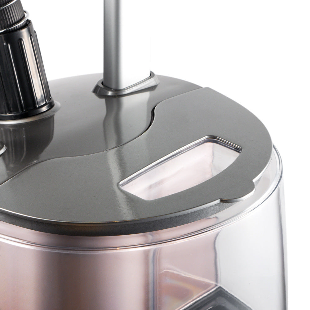 RAF European Standard Household Garment Steamer Vertical Ironing Machine Steam Handheld Mini Hanging Iron R.3048