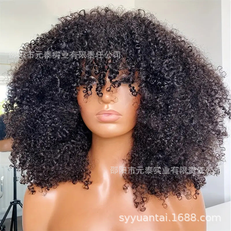 Kinky Curly  Wigs With Bangs None Lace Human Hair Wigs