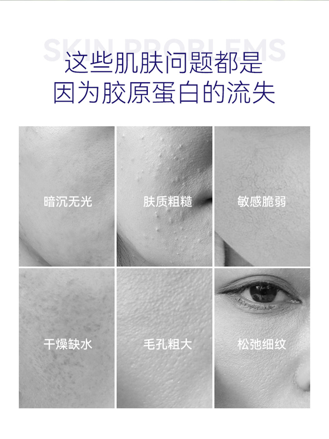 Anti-Wrinkle Restructured Collagen Single-Use Serum Firming Hydrating Moisturizing High-End Single-Use Skin Renewal