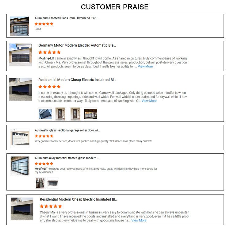 Modern Industrial Overhead Garage Door Motor Automatic Aluminum Glass Garage Door for Homes