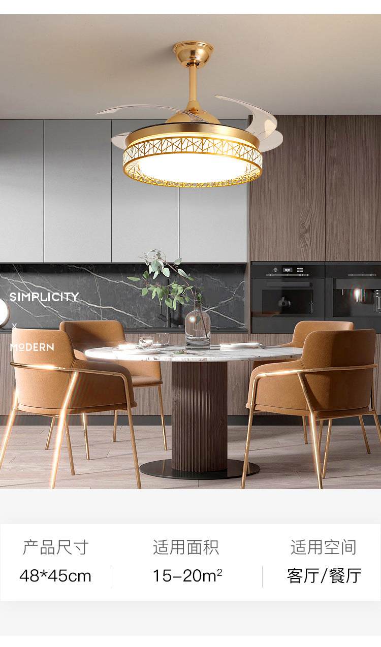 Ceiling Fan Light for Living Room, Bedroom, Dining Room, Nordic Postmodern Style, Luxury Lighted Electric Fan Ceiling Light