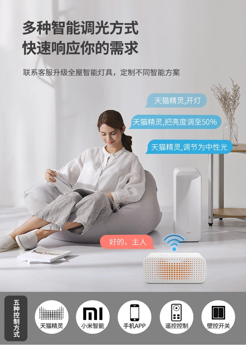 LED Light Luxury Living Room Main Light Starry Sky Restaurant Chandelier Modern Simple Nordic Bedroom Ceiling Light Full House Package