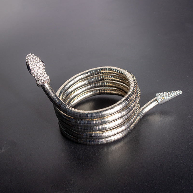 Men's New Necklace Women's Versatile High-end European and American Style Jewelry ins Minimalist Snake Bone Chain Snake Necklace