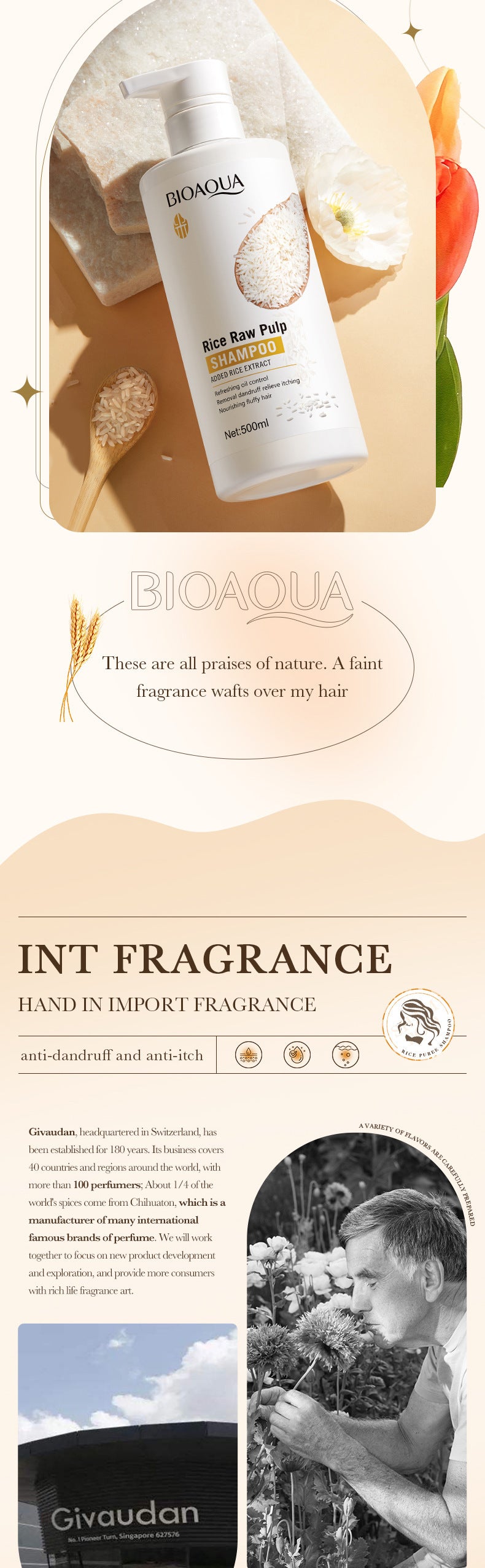 BIOAOUA Rice Puree Shampoo Anti-Dandruff Oil Control Volumizing Long-Lasting Fragrance Hair Wash Foreign Trade