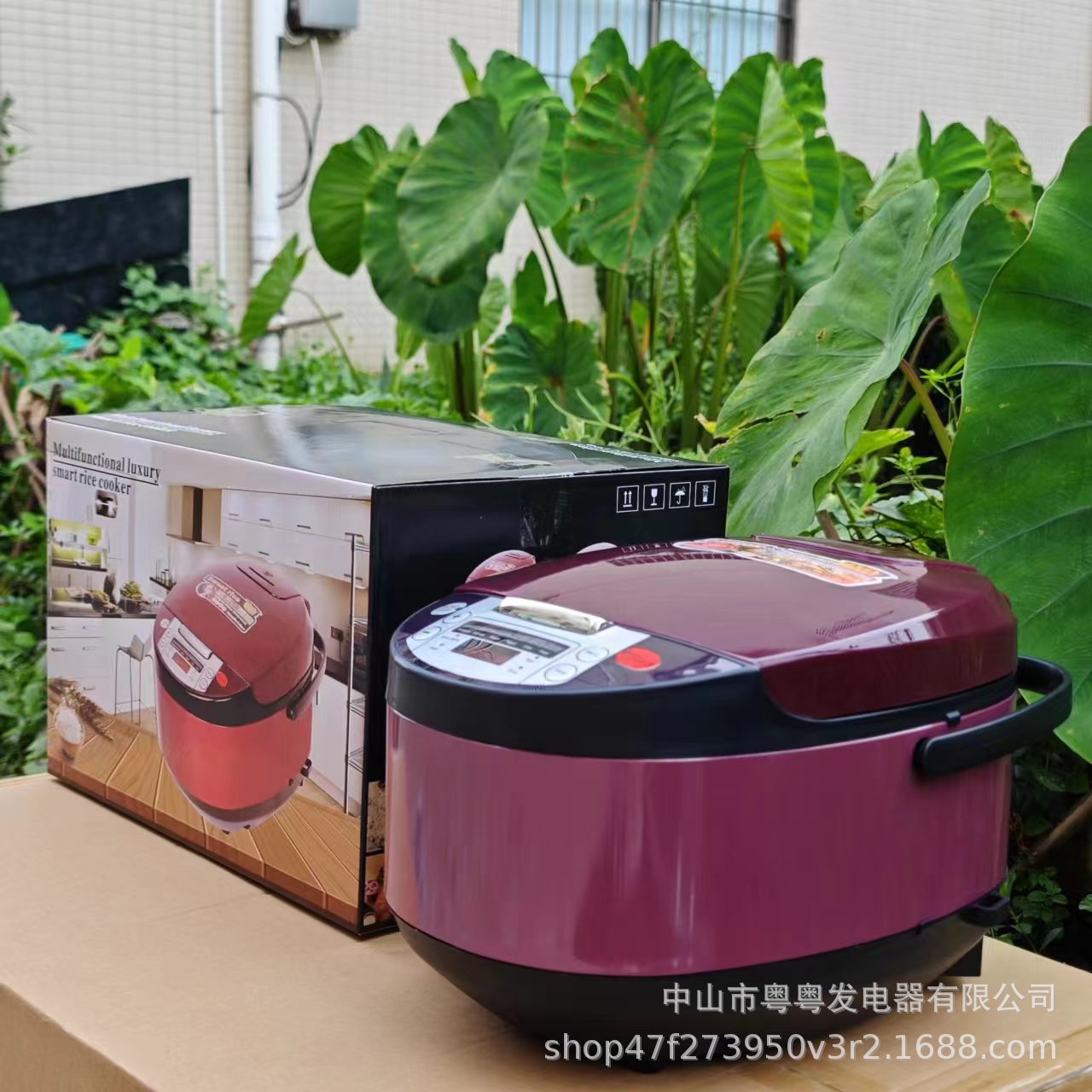 5LRicecooker English Rice Cooker5L Home Smart Reservation Factory Direct Sale Aluminum Alloy Inner Tank