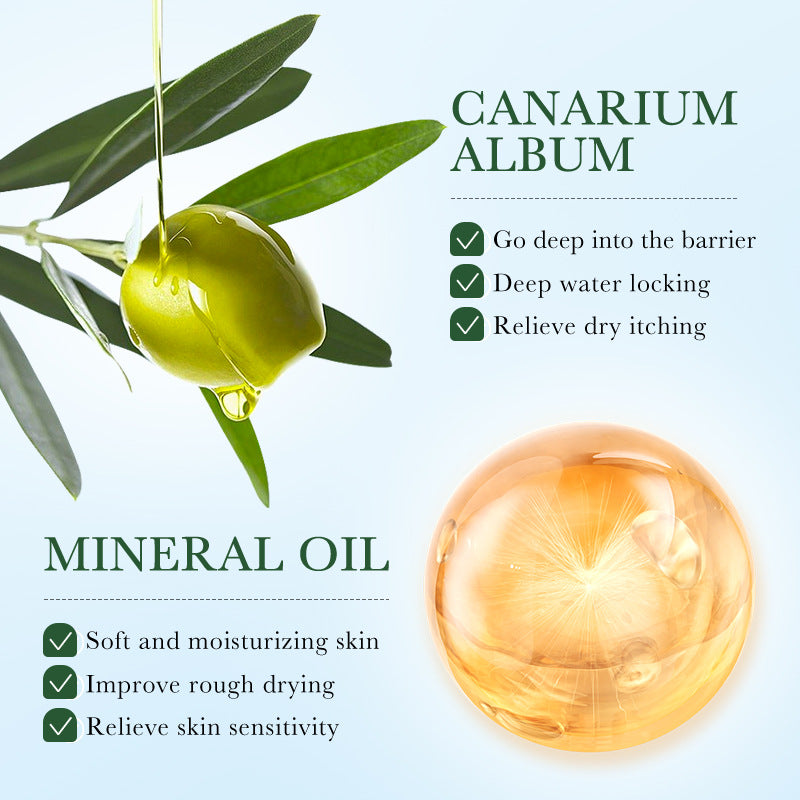 Cross-border Lotion150ml Olive Oil Nourishing Lotion Skin Brightening and Rejuvenating Lotion Wholesale from Foreign Trade Manufacturer