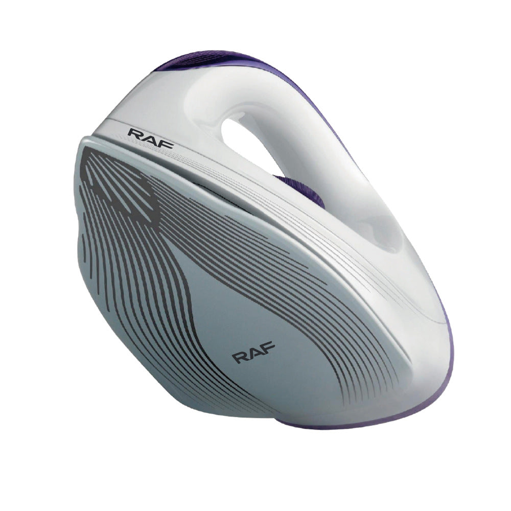 European Standard Hot-Selling Household Handheld Electric Iron Hotel-Specific Dry Iron R.1261