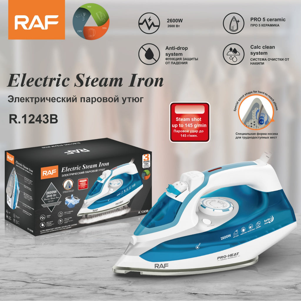 European Standard Household Steam Electric Iron Handheld Mini Garment Steamer Small Portable Ironing Machine R.1243