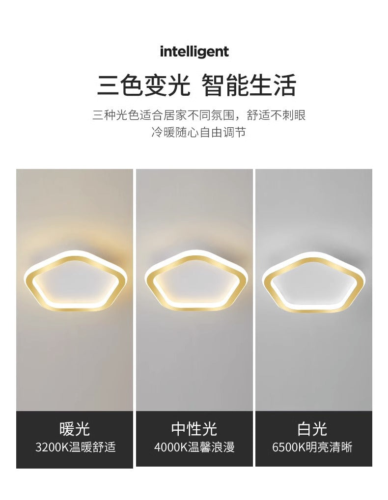 Nordic Corridor Entrance Hallway Light Simple Modern Creative Cloakroom Light led Balcony Small Ceiling Light Fixture