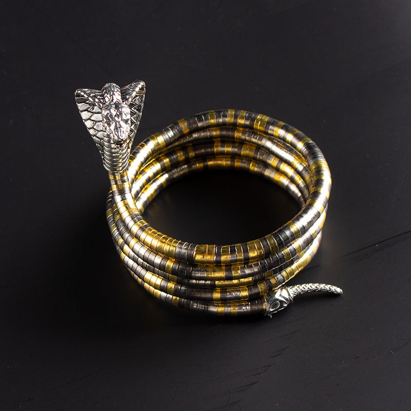 Men's New Necklace Women's Versatile High-end European and American Style Jewelry ins Minimalist Snake Bone Chain Snake Necklace