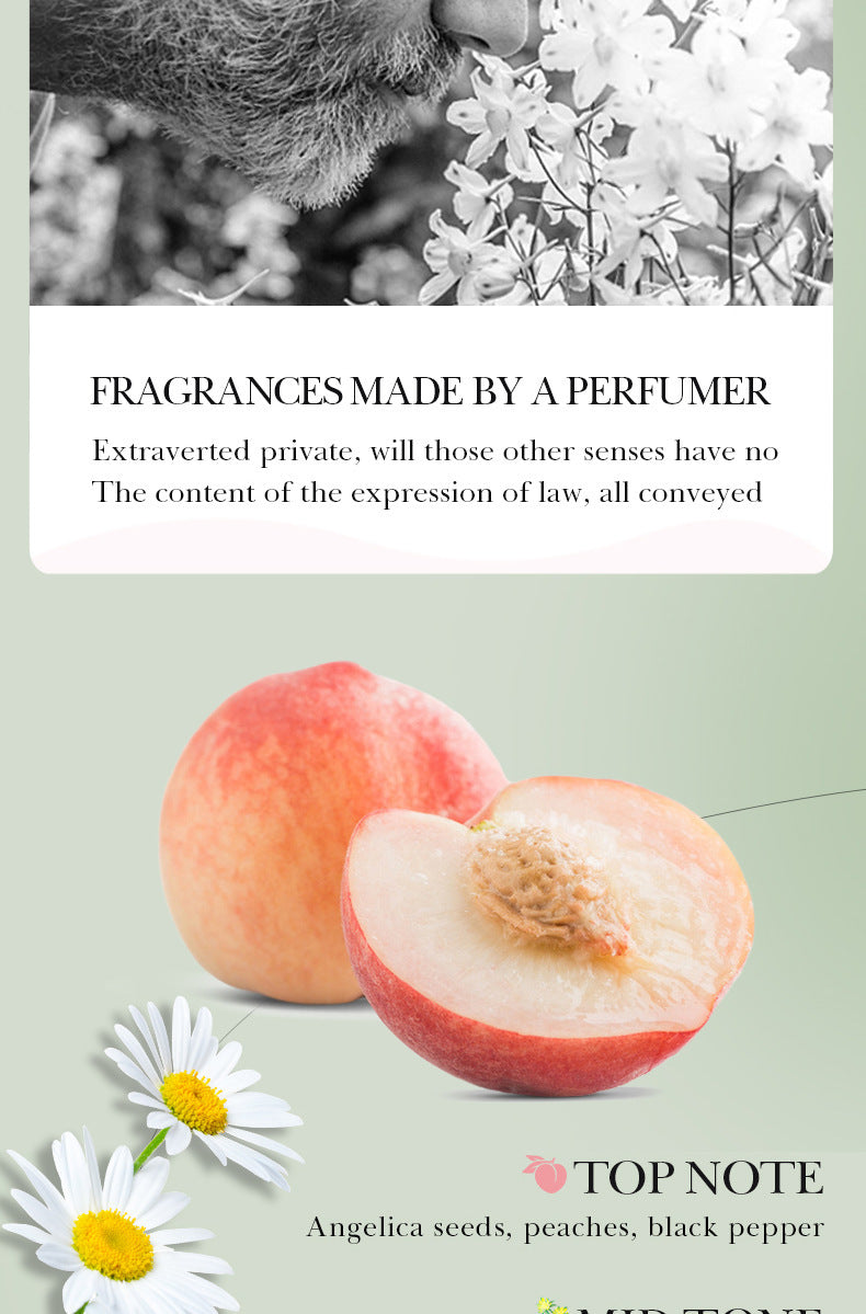 Full English SADOER Fruit Combination Moisturizing Hand Cream Hydrating Autumn and Winter Hand Cream  Foreign Trade Wholesale