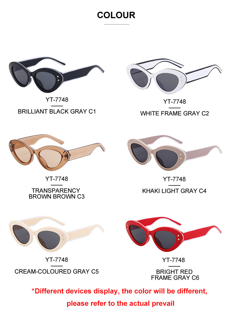 New Wide Mirror Leg Cat Eye Sunglasses for Women, European and American Fashion, High-End Feel Sunglasses sunglasses