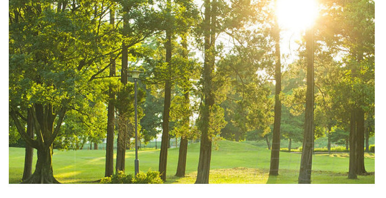 Italian Style High Brightness Full Spectrum Eye Protection Design Sense High-end Light Luxury Master Bedroom Creative Cloud Ceiling Light