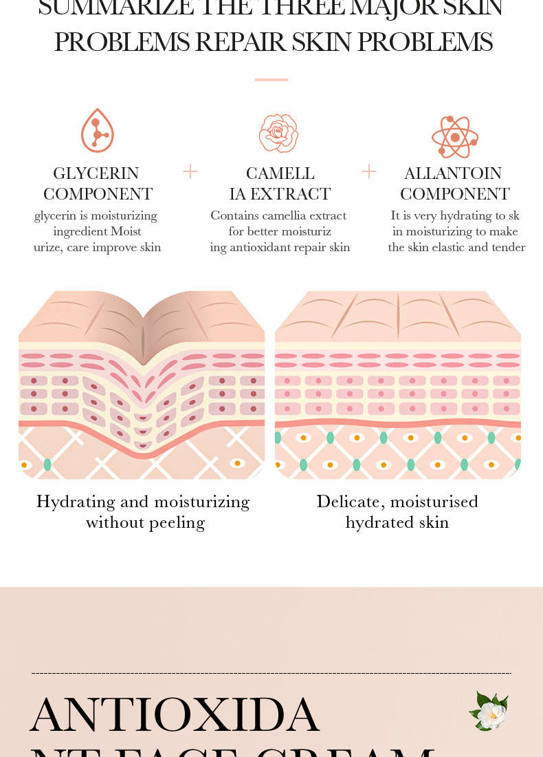 Camellia Face Cream BIOAOUA Hydrating, moisturizing, refreshing, non-sticky moisturizing cream cross-border foreign trade wholesale