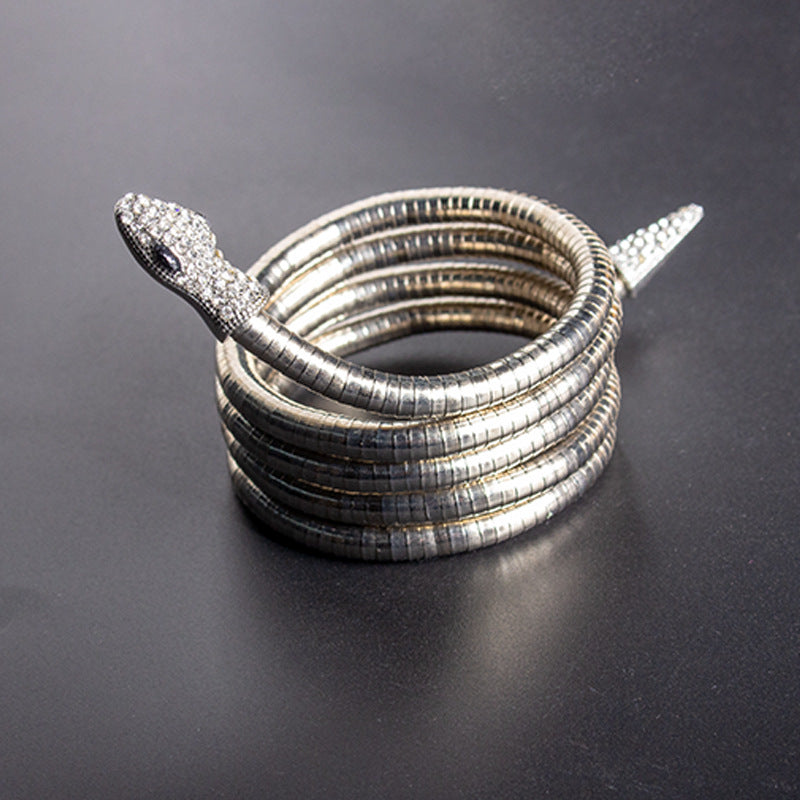 Men's New Necklace Women's Versatile High-end European and American Style Jewelry ins Minimalist Snake Bone Chain Snake Necklace