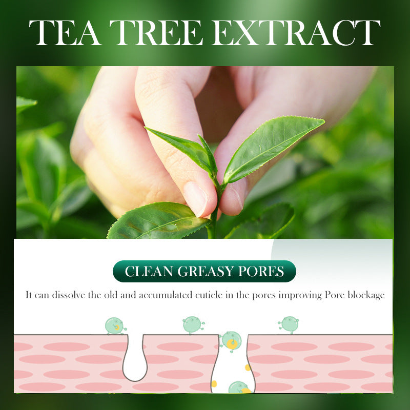 Full English Tea Tree Facial Mask25g SADOER Refreshing Moisturizing Tablets for  Wholesale
