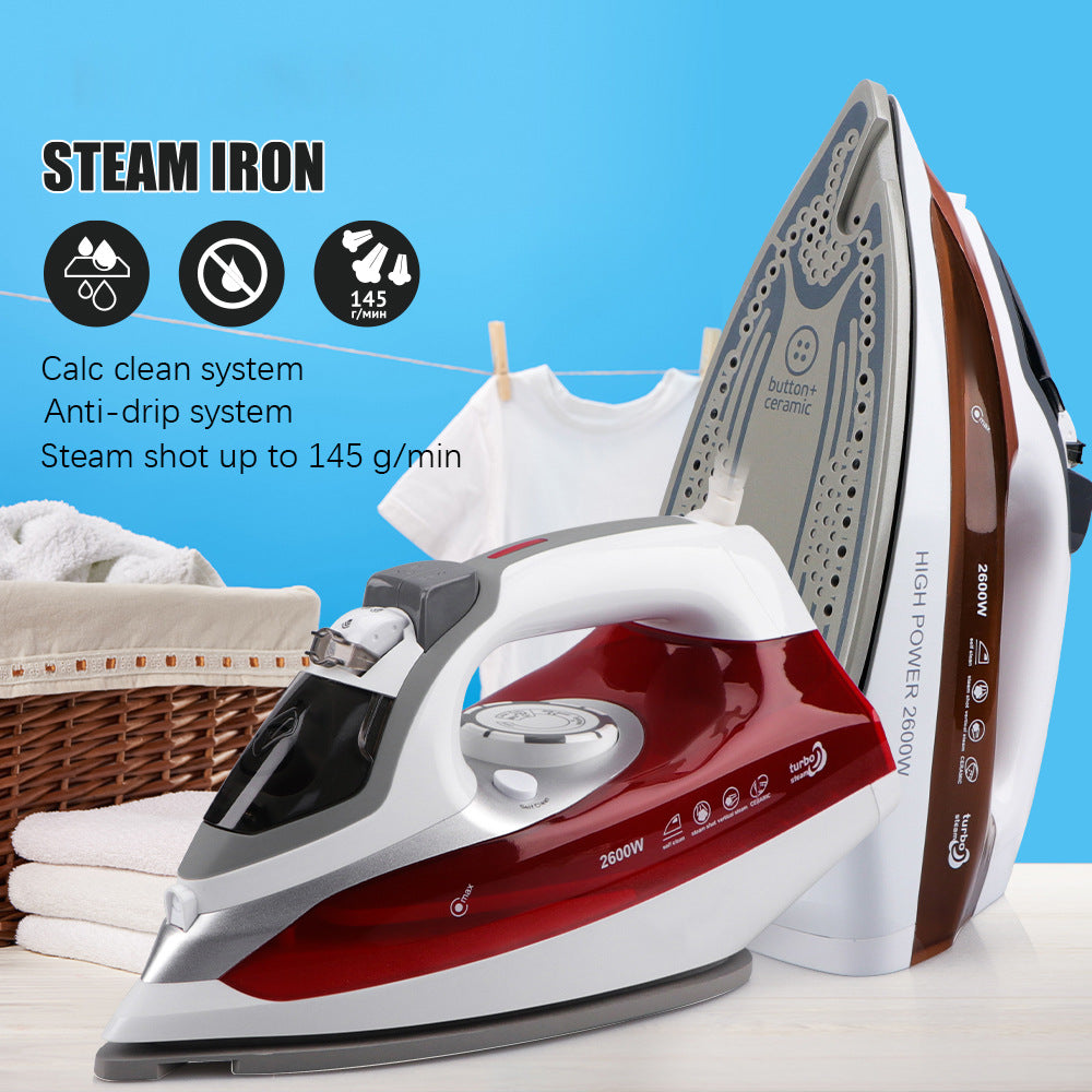 European Standard Household Steam Electric Iron Handheld Mini Garment Steamer Small Portable Ironing Machine R.1243