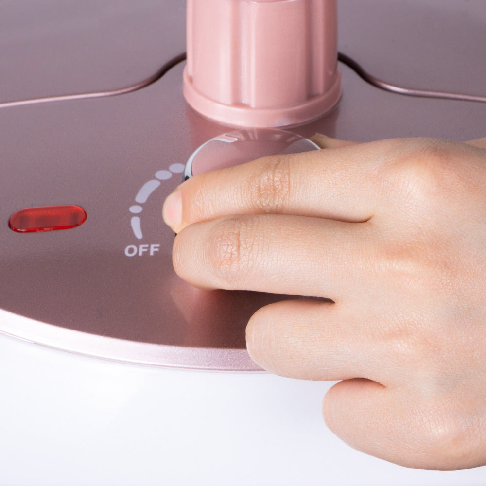 RAF European Standard Steam Home Use Garment Steamer Vertical Handheld Mini Hanging Iron R.3042