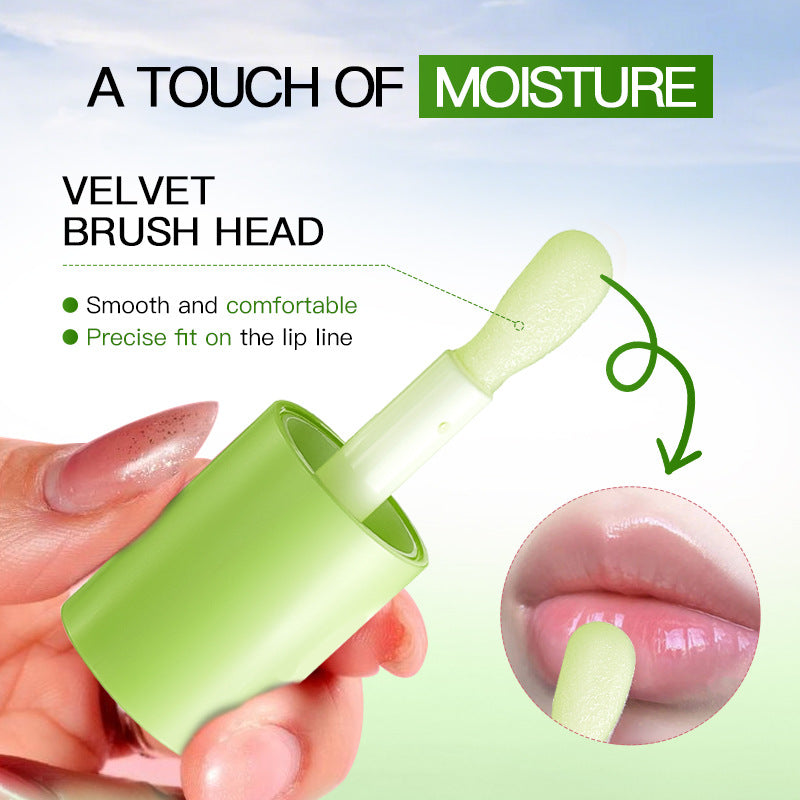 Cross-border Fruit Lip Oil4.5g Avocado Nourishing and Hydrating Autumn and Winter Moisturizing Lip Balm Export Manufacturer Wholesale