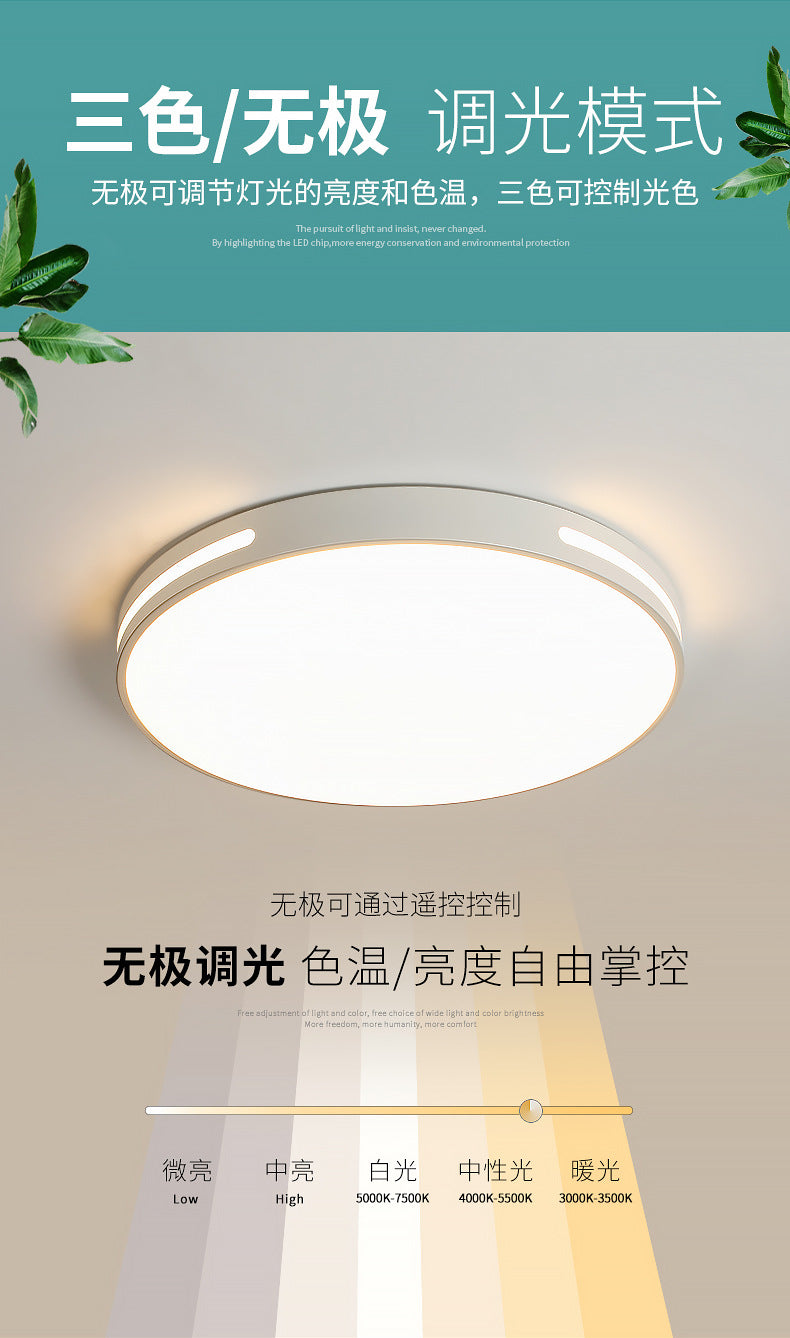 Ceiling Lamp led Bedroom Light Round Modern Minimalist Room Light Creative Iron Art Living Room Light Home Atmosphere Wholesale