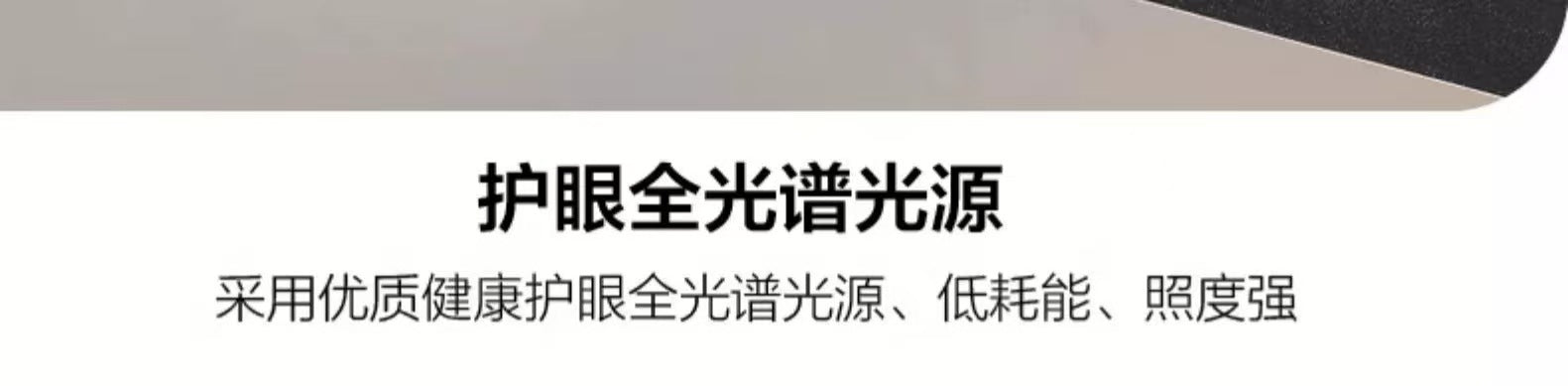 Modern Minimalist Internet Celebrity Living Room Ceiling Light Elegant Home Italian Light Luxury Ice Crack Pattern Hall Master Bedroom Lighting