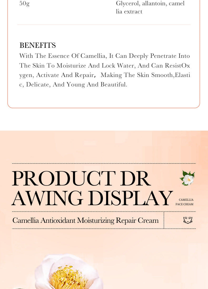 Camellia Face Cream BIOAOUA Hydrating, moisturizing, refreshing, non-sticky moisturizing cream cross-border foreign trade wholesale