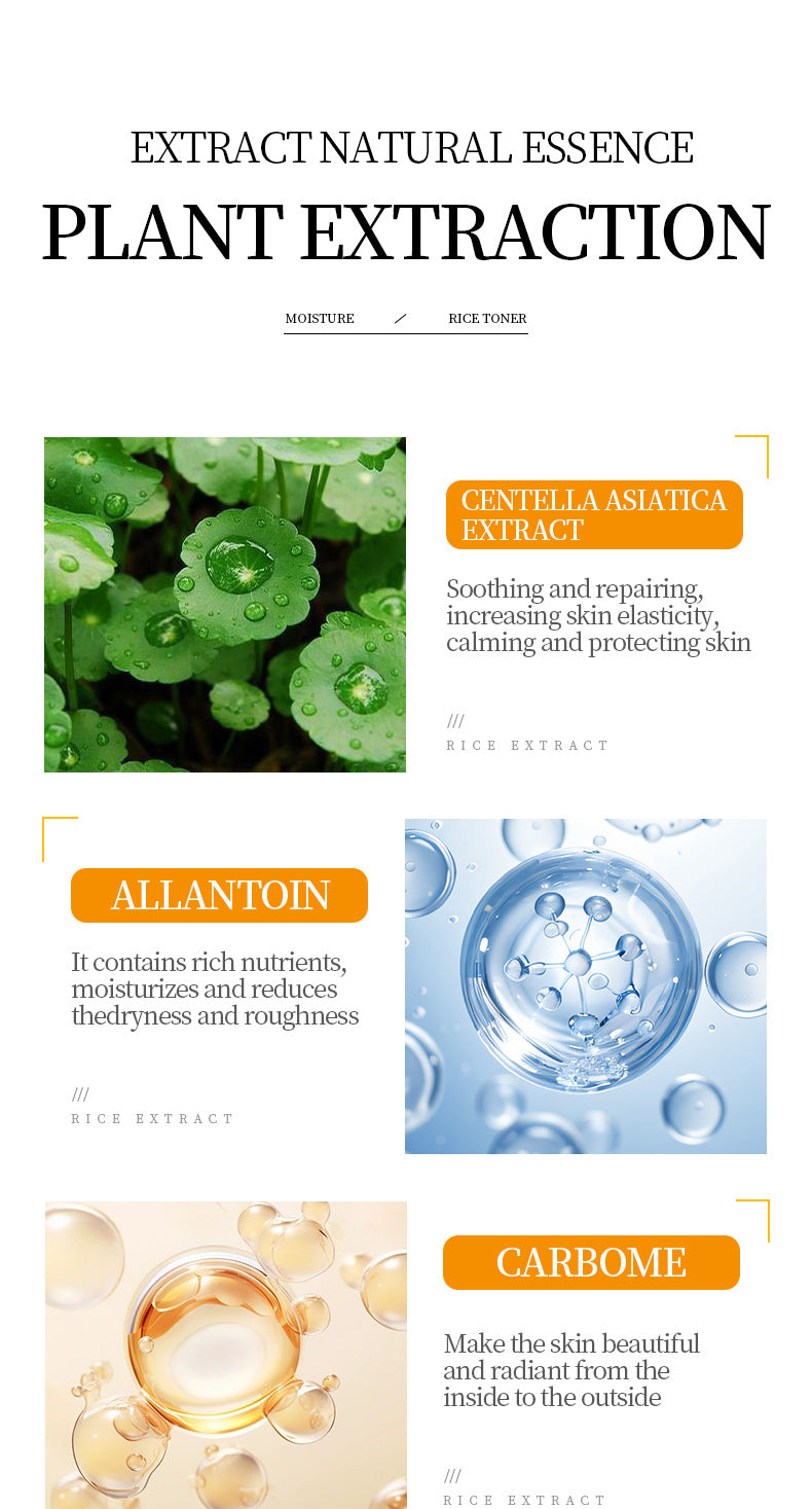 Full English Sleep Mask BIOAOUA Rice No-Wash Apply-Off Good Night Freeze Mask Boxed  Foreign Trade Wholesale