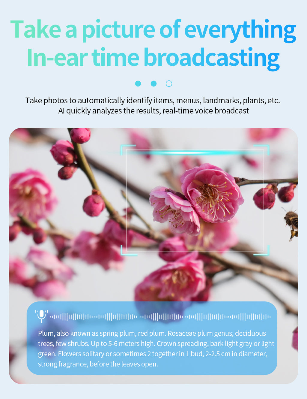 JS01 Pro Smart Glasses1200100 Megapixel Camera AI Simultaneous Translation Character Recognition Anti-Shake Video Recording Audio Recording