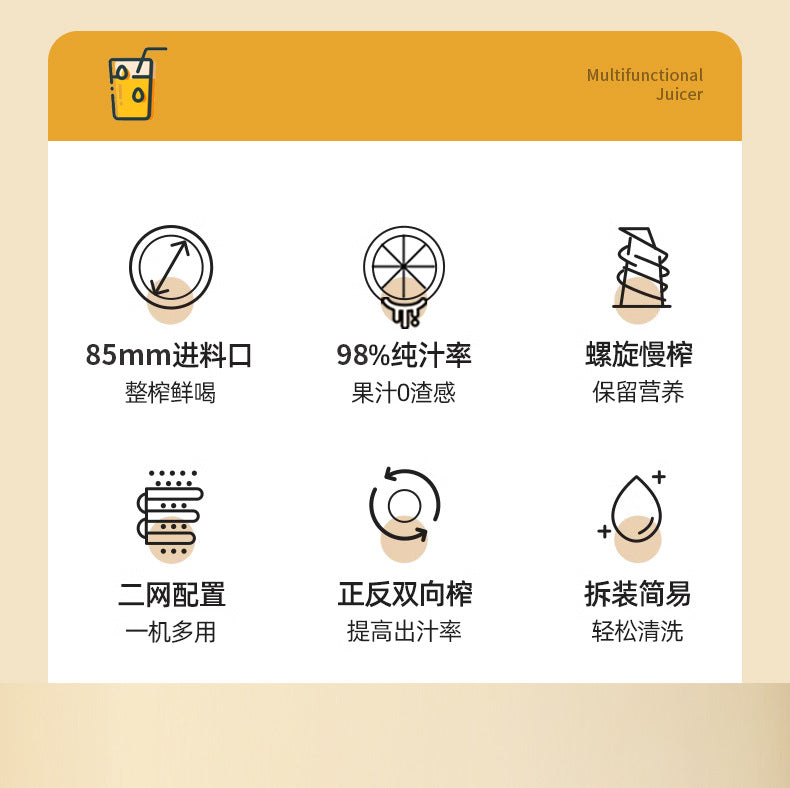 Juicer Household Pulp and Juice Separator Multifunctional Commercial Large Caliber Fruit and Vegetable Juicer