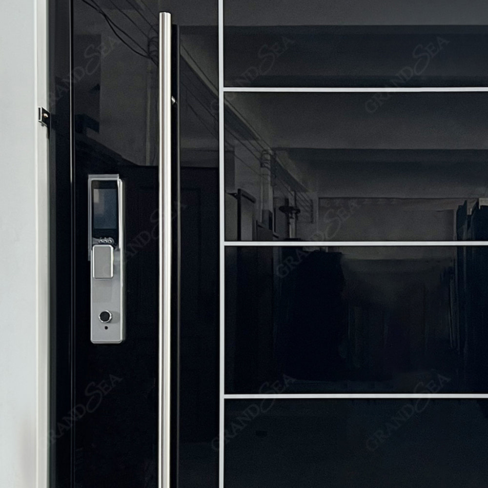USA Style Exterior Modern High Glossy Black Solid Metal Front Aluminum Stainless Steel Pivot Entry Doors Price