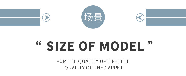 Living Room Carpet Stain-Resistant Easy Care Light Luxury Sofa Coffee Table Rug Home Use All-Season Crystal Velvet Bedside Warm Blanket