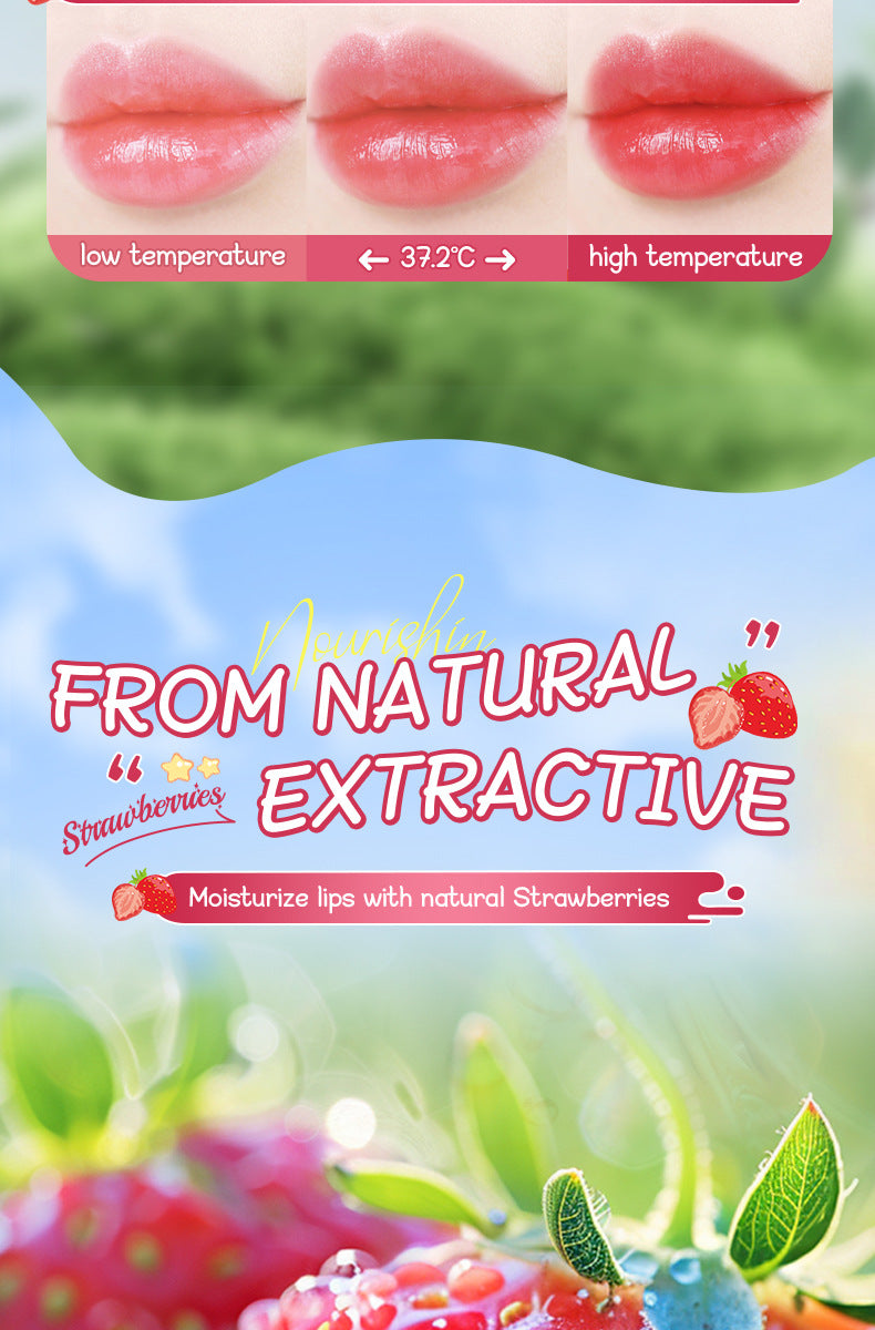 Full English Fruit Filled Temperature Changing Lip Balm SADOER Hydrating Moisturizing Temperature Changing Lip Balm for Foreign Trade