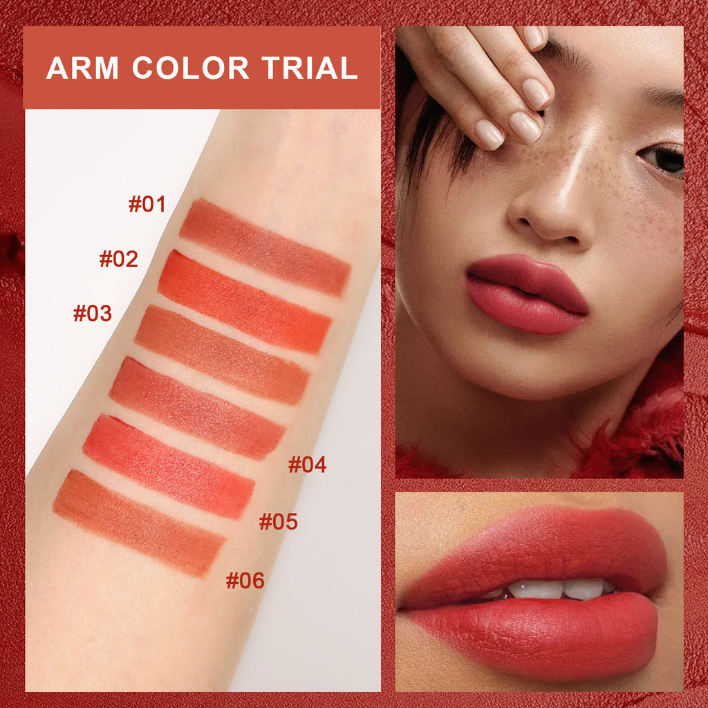 SHELOVES Light Mist Matte Lip Gloss10Color Non-Stick Cup Matte Lip Mud Liquid Lipstick